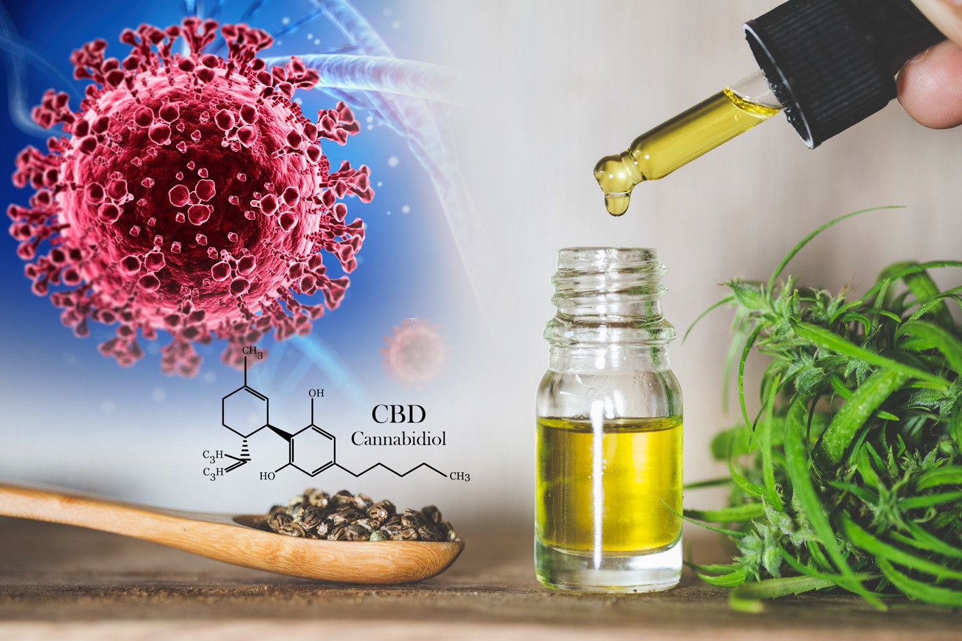 CBD und seine Wirkung bei COVID-19