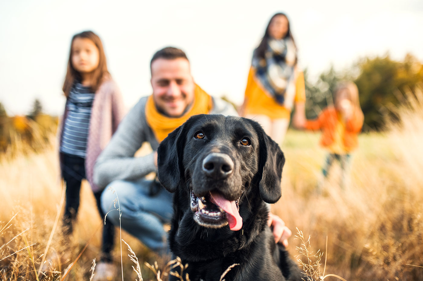 Studien: Hundehalter sind gesünder und leben länger